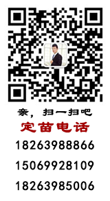 开云手机app(中国)官方网站IOS/安卓通用版/手机APP下载